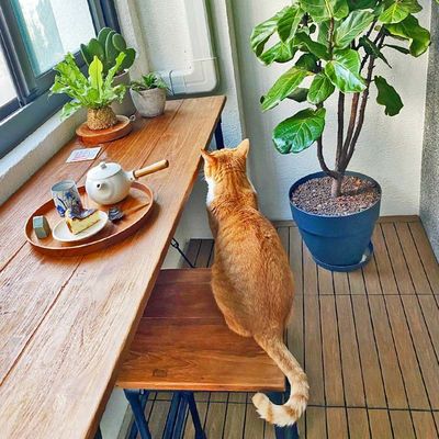 Giá tốt. Thạch cao sàn gỗ linh hoạt, không thấm nước, vuông để sử dụng ngoài trời trực tuyến